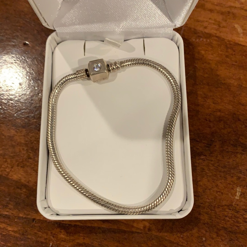 Silver Snake Chain Charm Bracelet